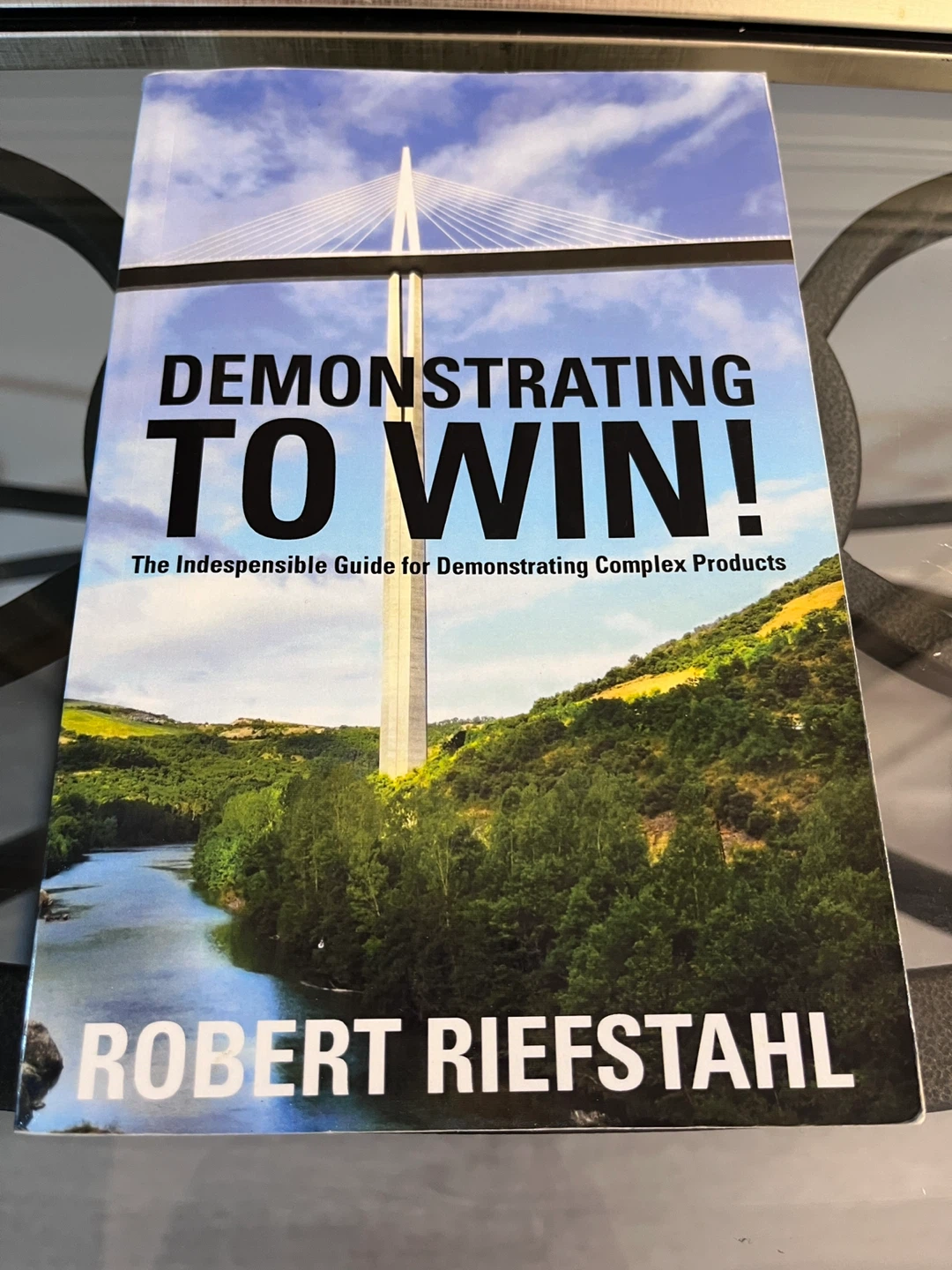 Demonstrating to Win! by Robert Riefstahl