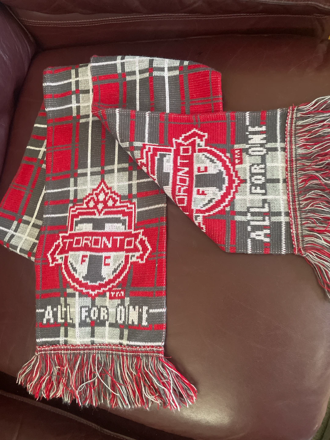 All for one Toronto scarf. Never worn
