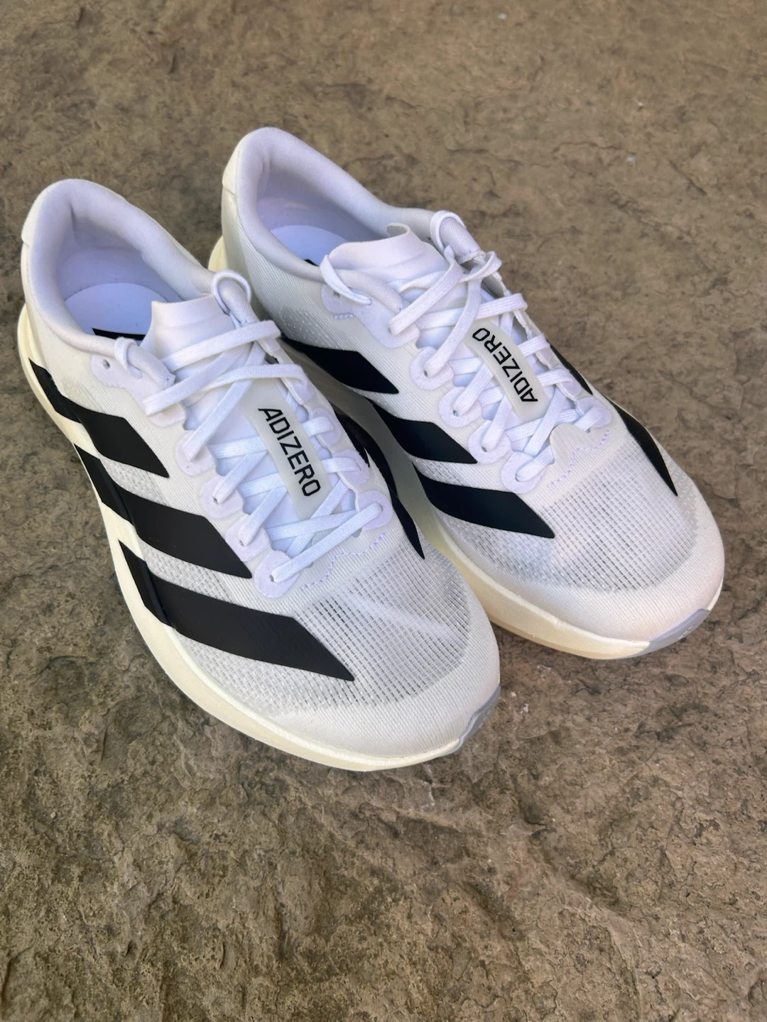 ADIDAS Adizero Evo SL-Women’s size 8 (Youth 6.5) - photo 5