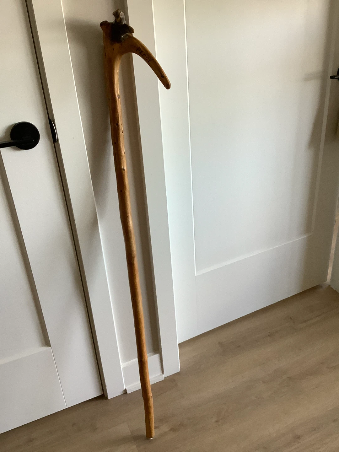 Hand Crafted Wooden Walking Stick 🐞