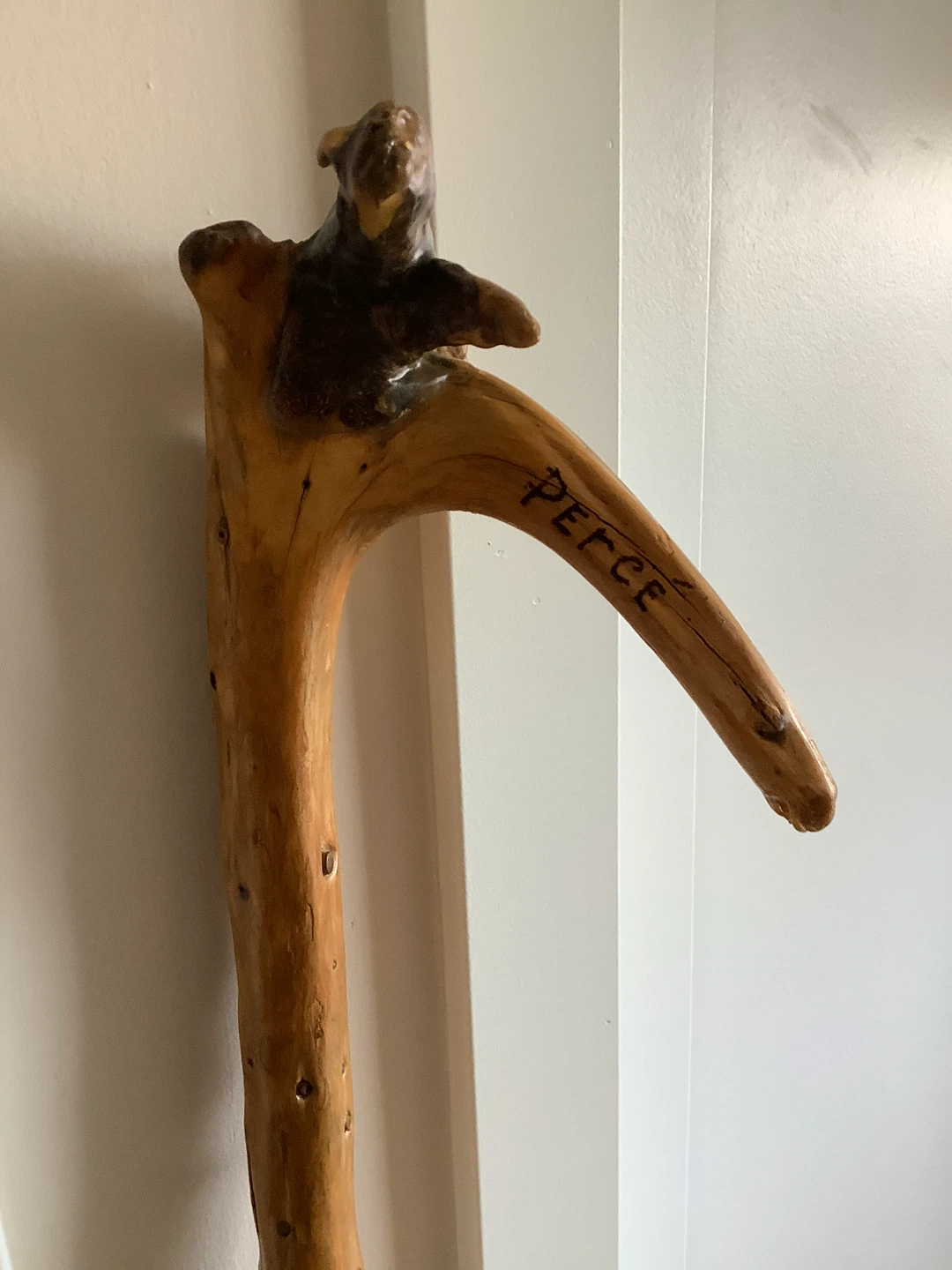 Hand Crafted Wooden Walking Stick 🐞 - photo 2