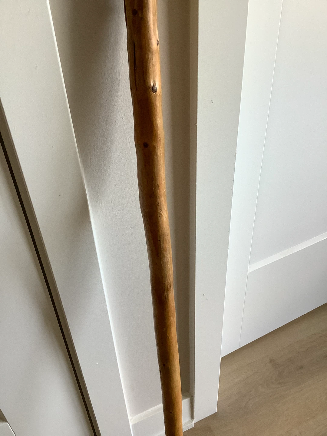 Hand Crafted Wooden Walking Stick 🐞 - photo 3