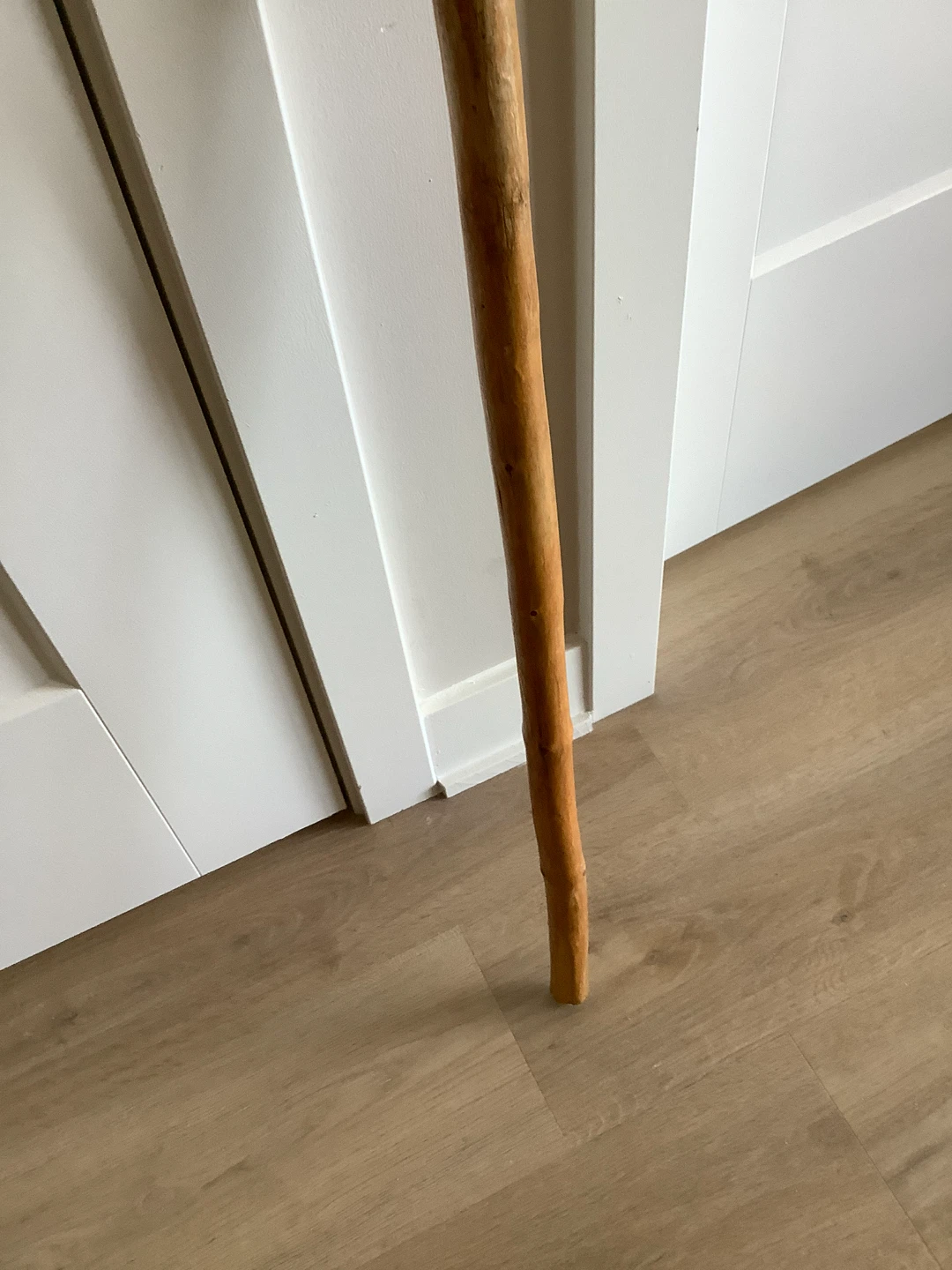 Hand Crafted Wooden Walking Stick 🐞 - photo 5