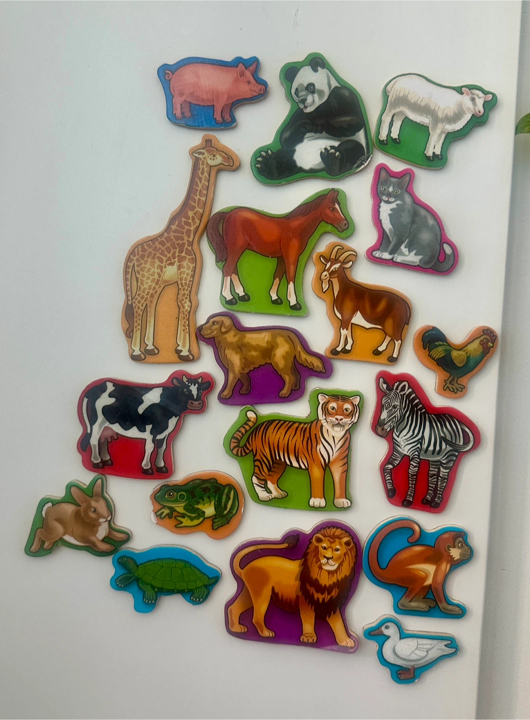 Magnetic Letters and Animal Magnets