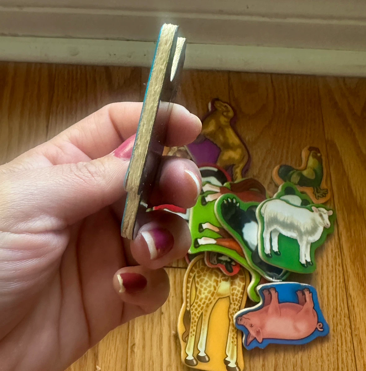 Magnetic Letters and Animal Magnets - photo 3
