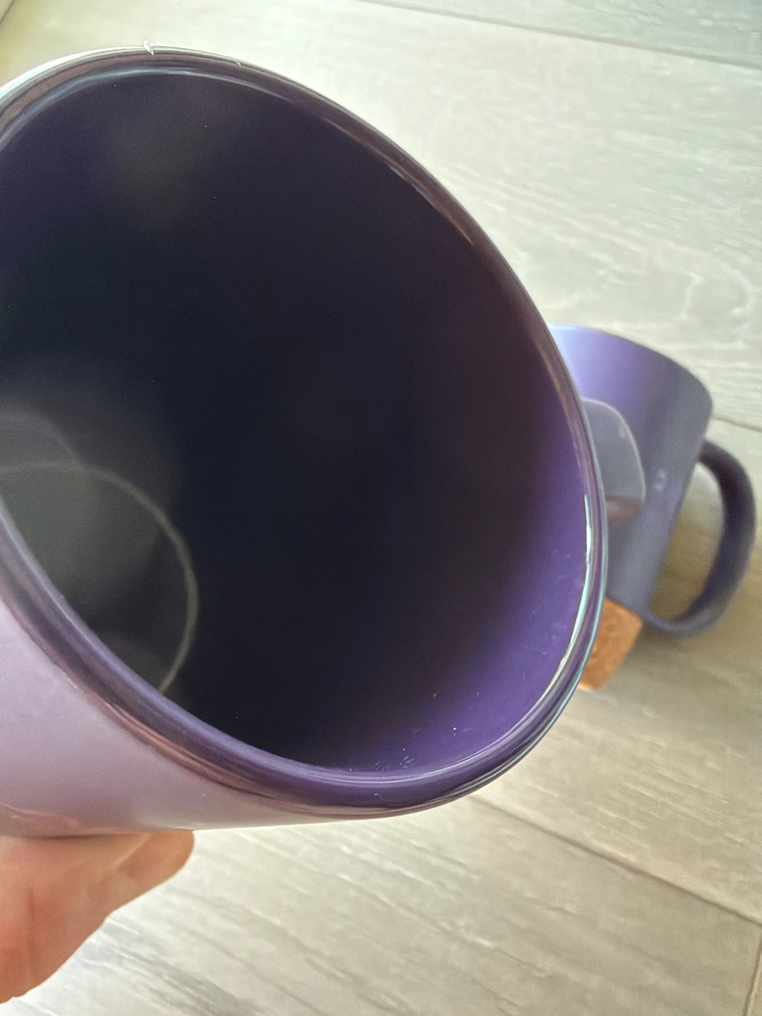 Two Wilfrid Laurier University Ceramic Mugs - photo 3