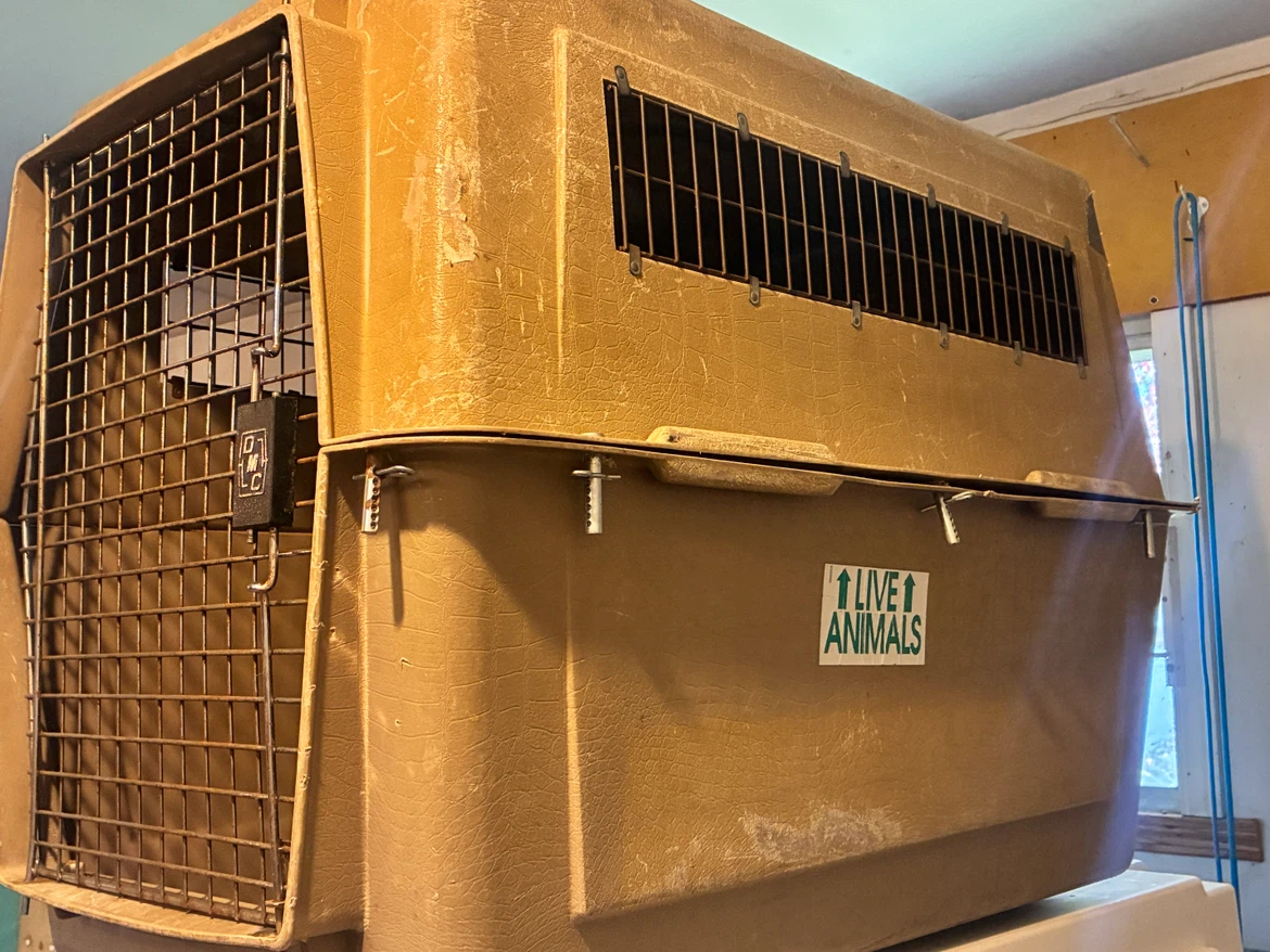 Vari Kennel - photo 2