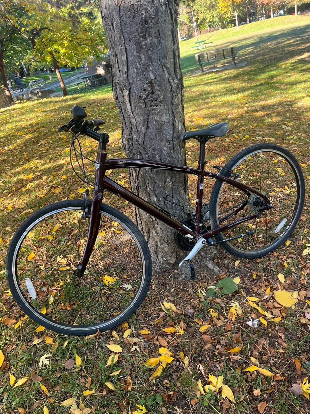 Specialized Globe Vienna Hybrid Bike