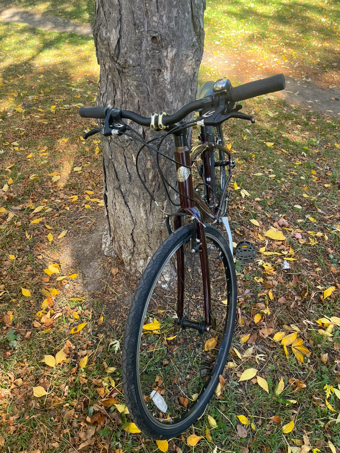 Specialized Globe Vienna Hybrid Bike - photo 2