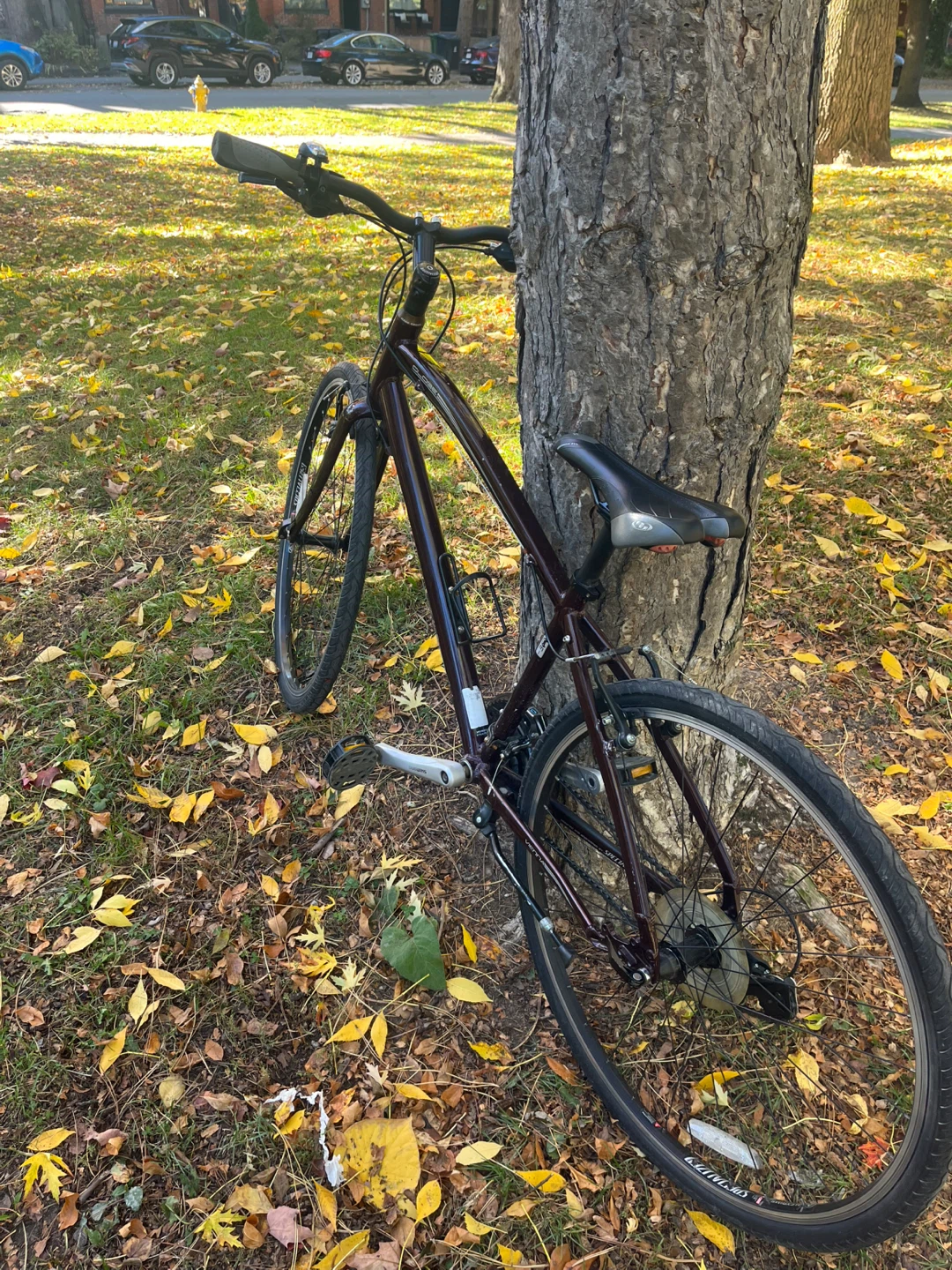 Specialized Globe Vienna Hybrid Bike - photo 3