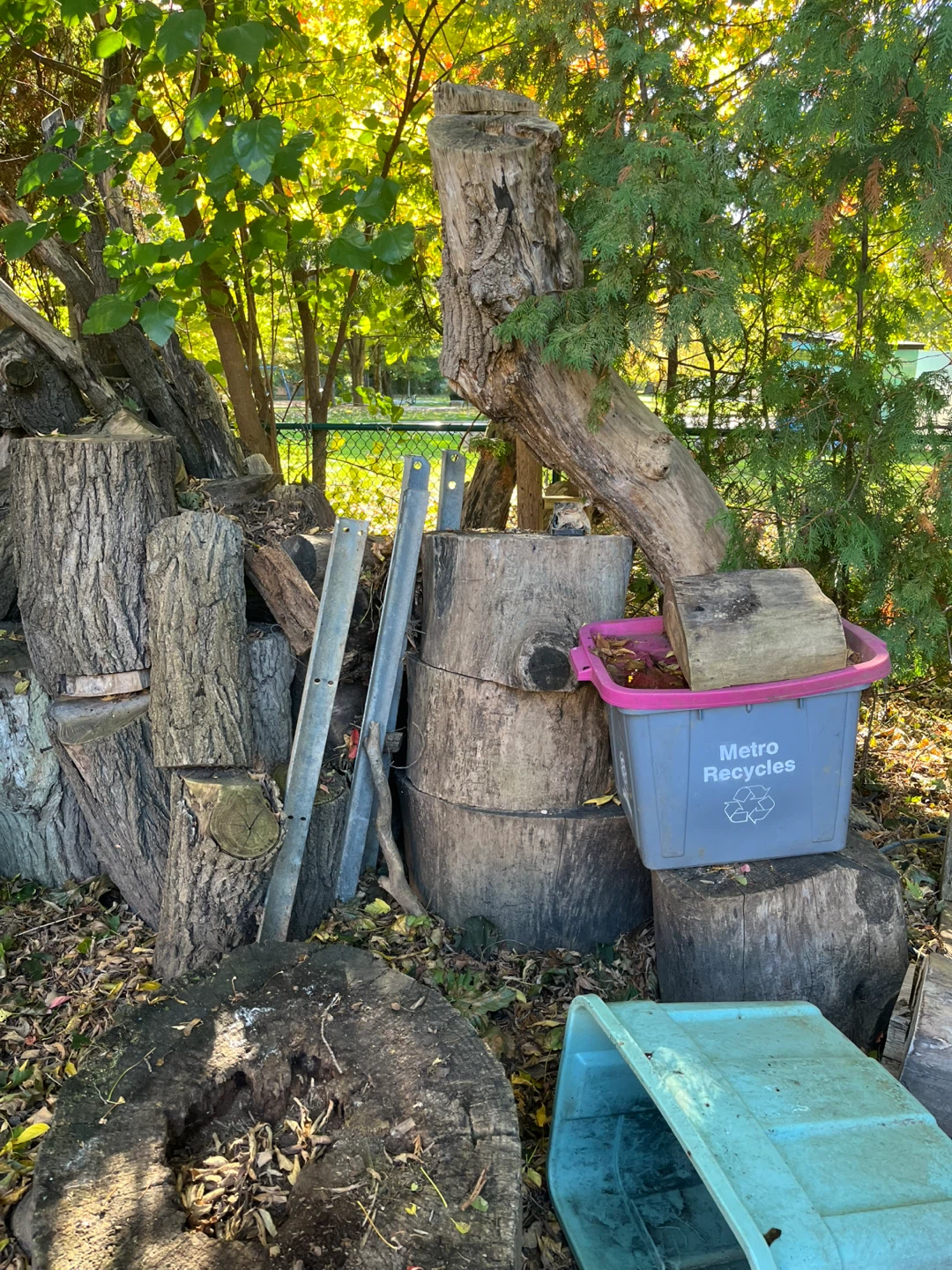 Uncut hard firewood