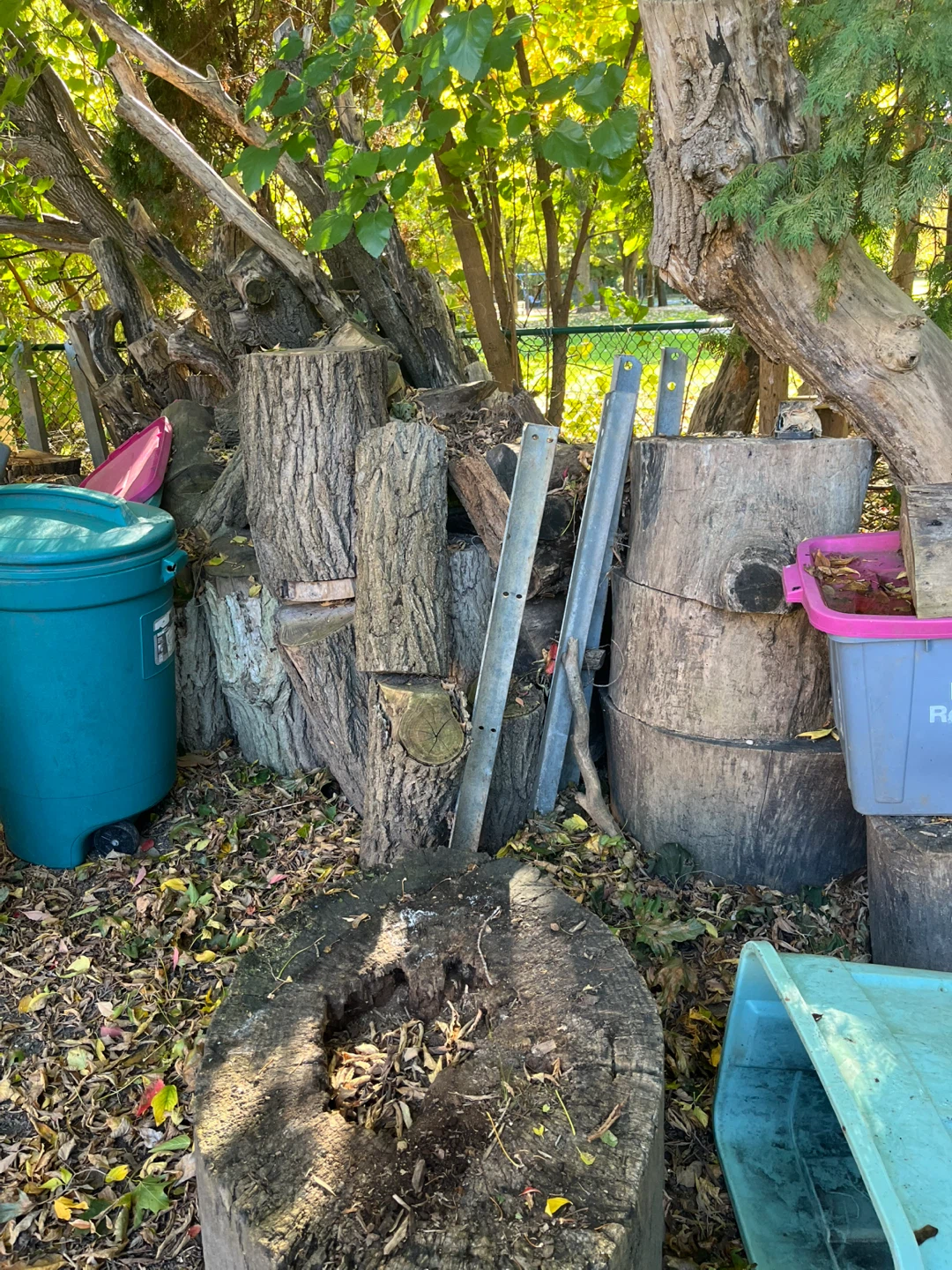 Uncut hard firewood - photo 3