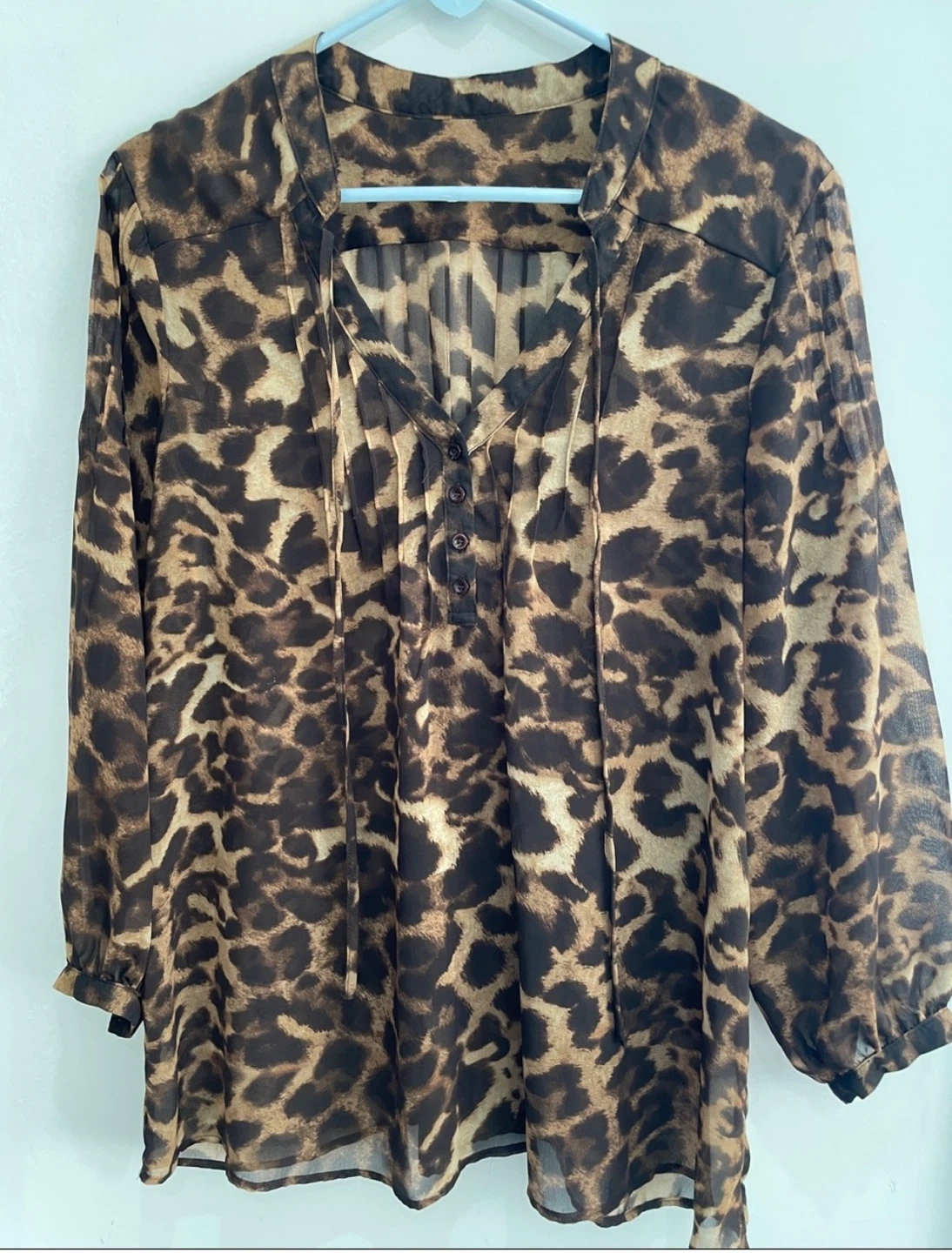 Leopard Print Long Sleeve Blouse