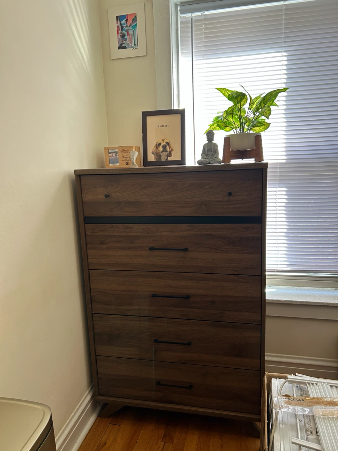 Modern Walnut Finish 5-Drawer Dresser