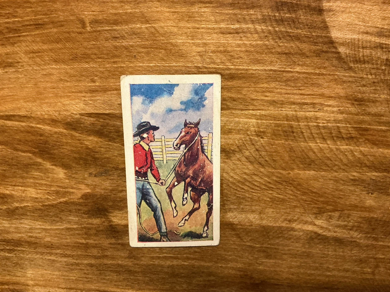 1961 Barratt “THE WILD WEST” THE HORSE Tobacco Card #16