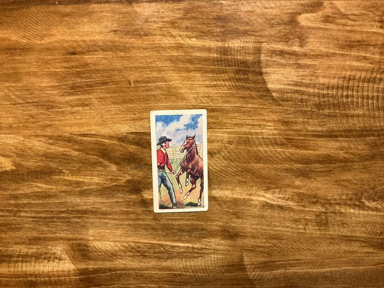 1961 Barratt “THE WILD WEST” THE HORSE Tobacco Card #16 - photo 3