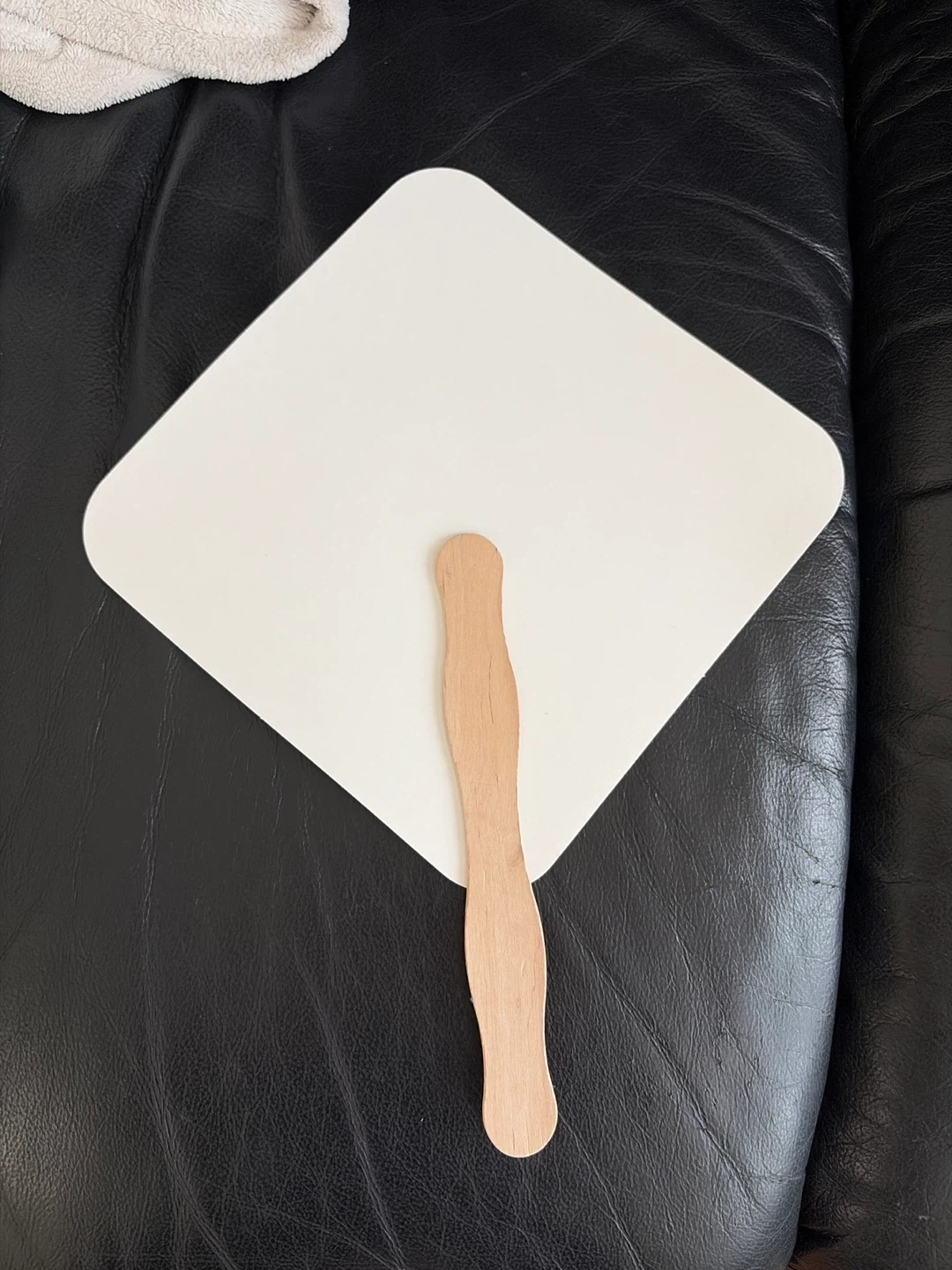 Blank White Hand Fan