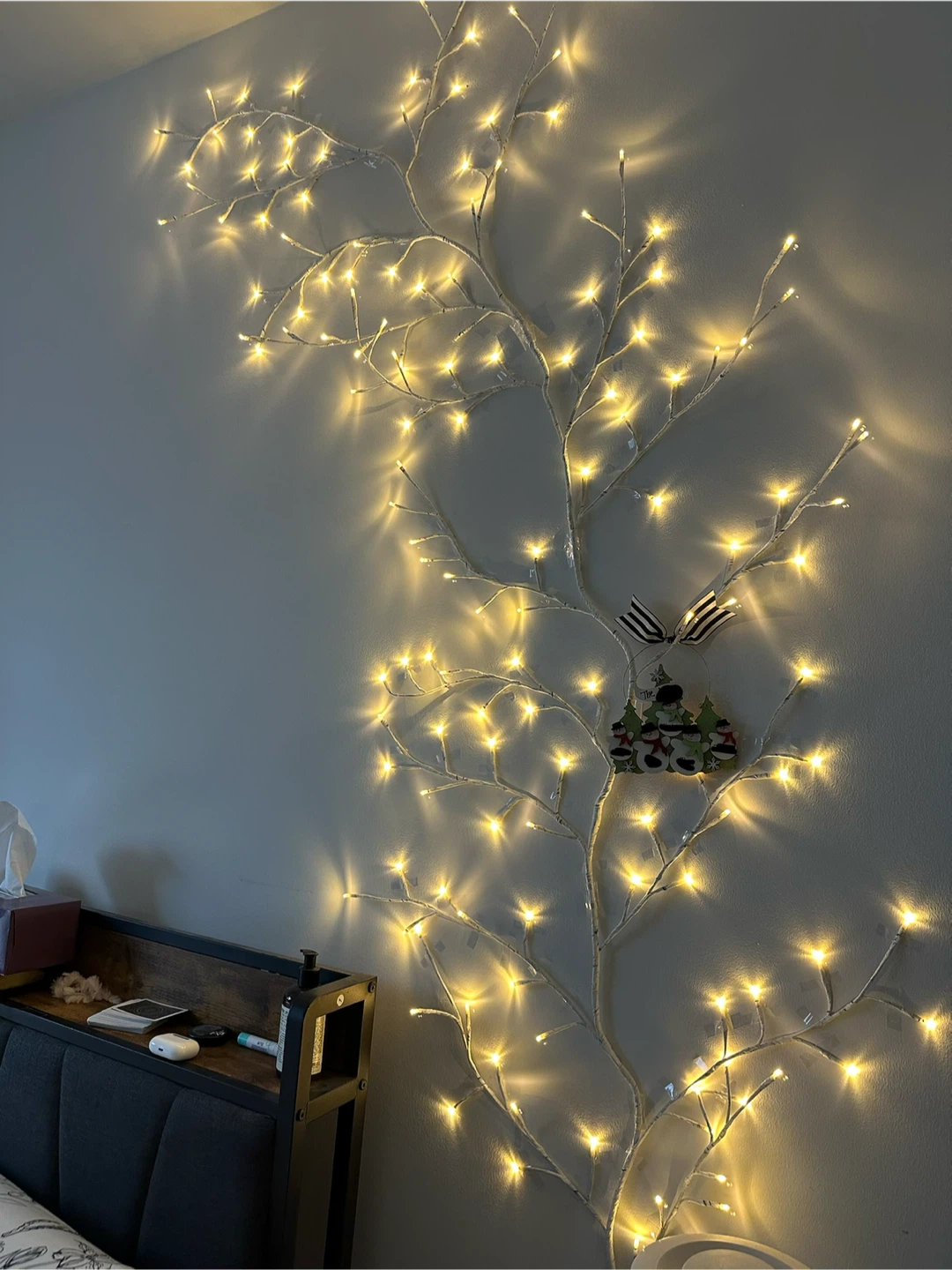Vine lights with remote