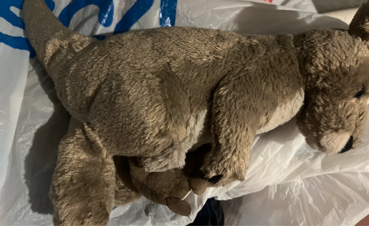 Plush Kangaroo with Joey - photo 3