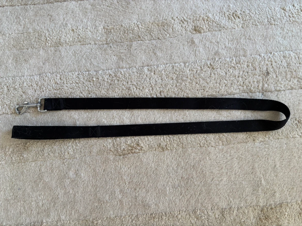 Dog Leash