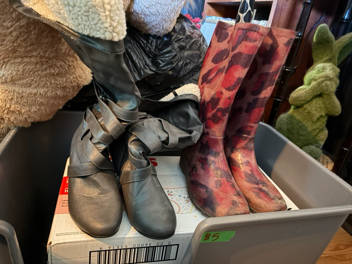 Two pairs of assorted boots