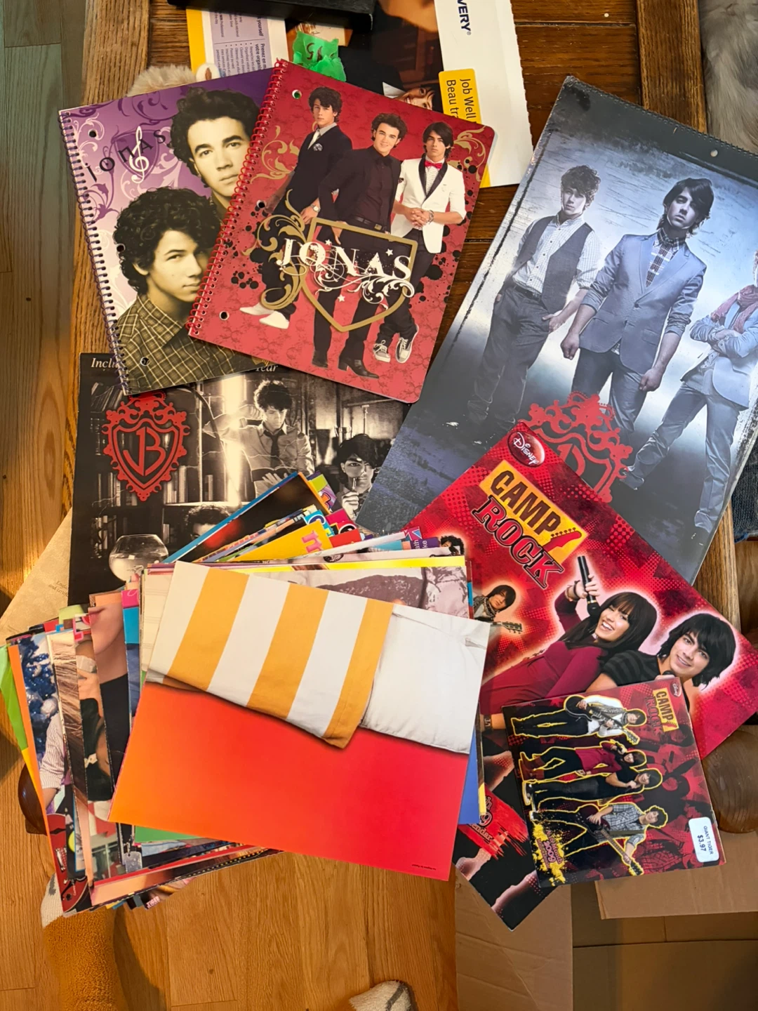 Jonas Brothers and Camp Rock Collection