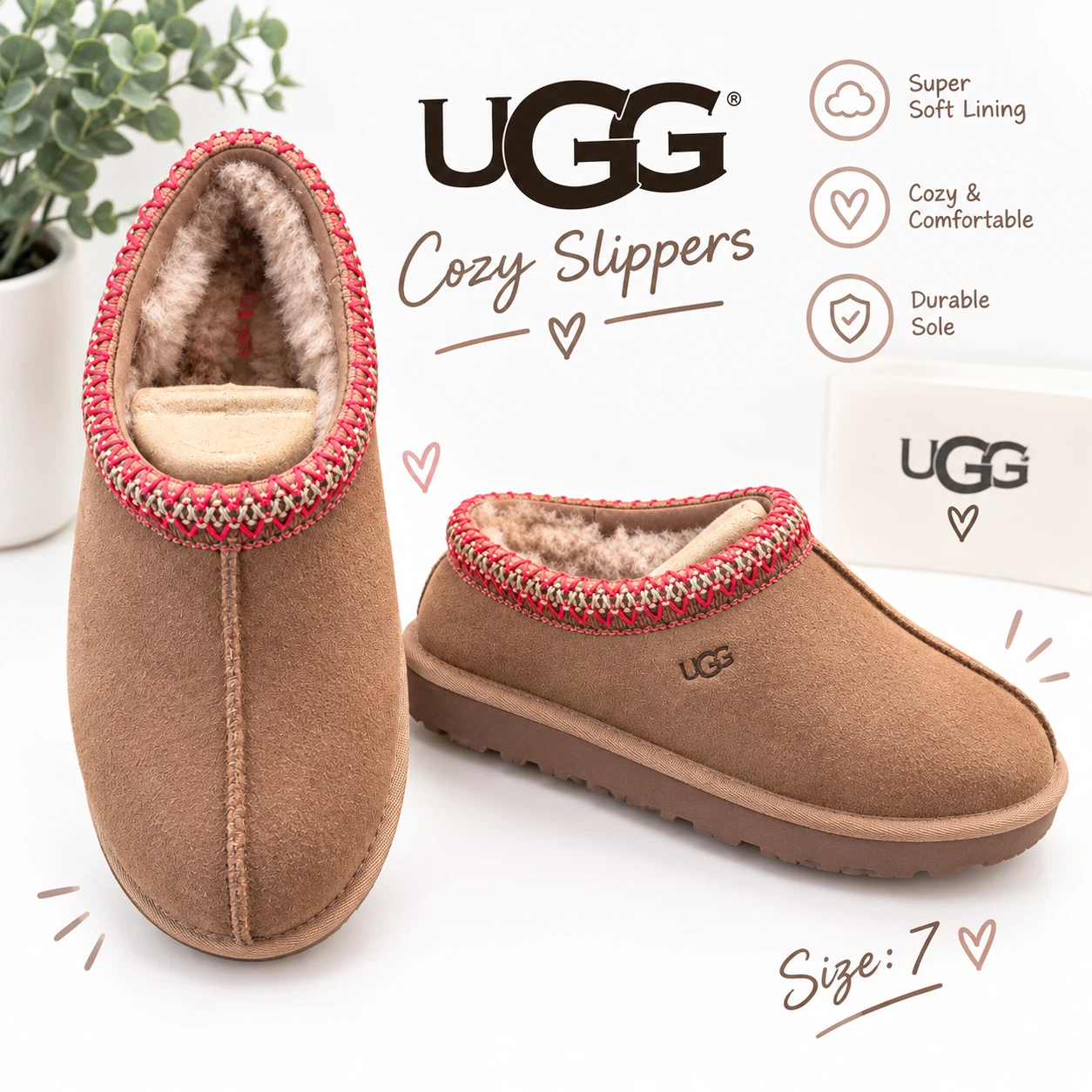 Tasman UGGS