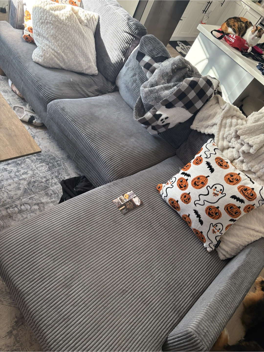 Free Sectional Couch