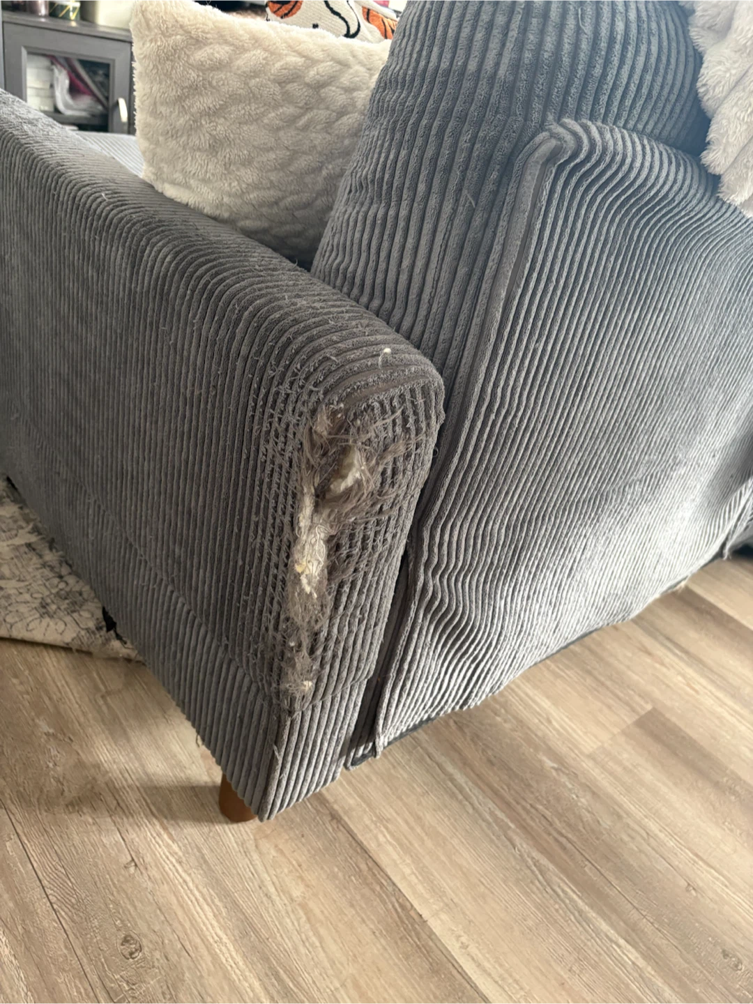 Free Sectional Couch - photo 3