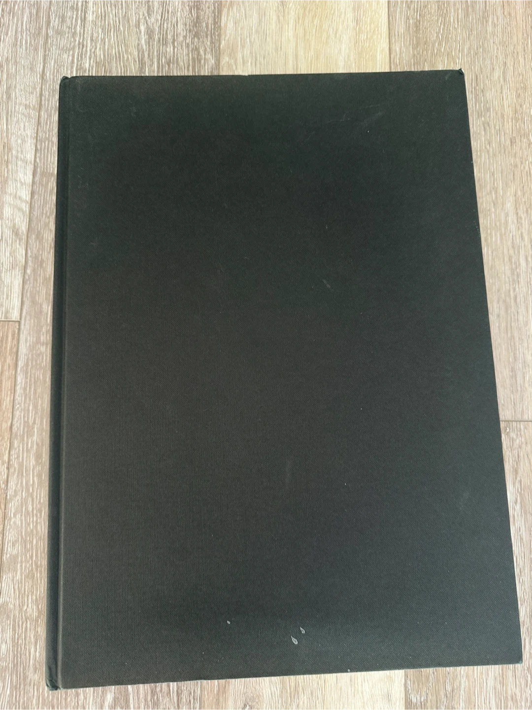 Picasso book by Robin Langley Sommer - photo 4