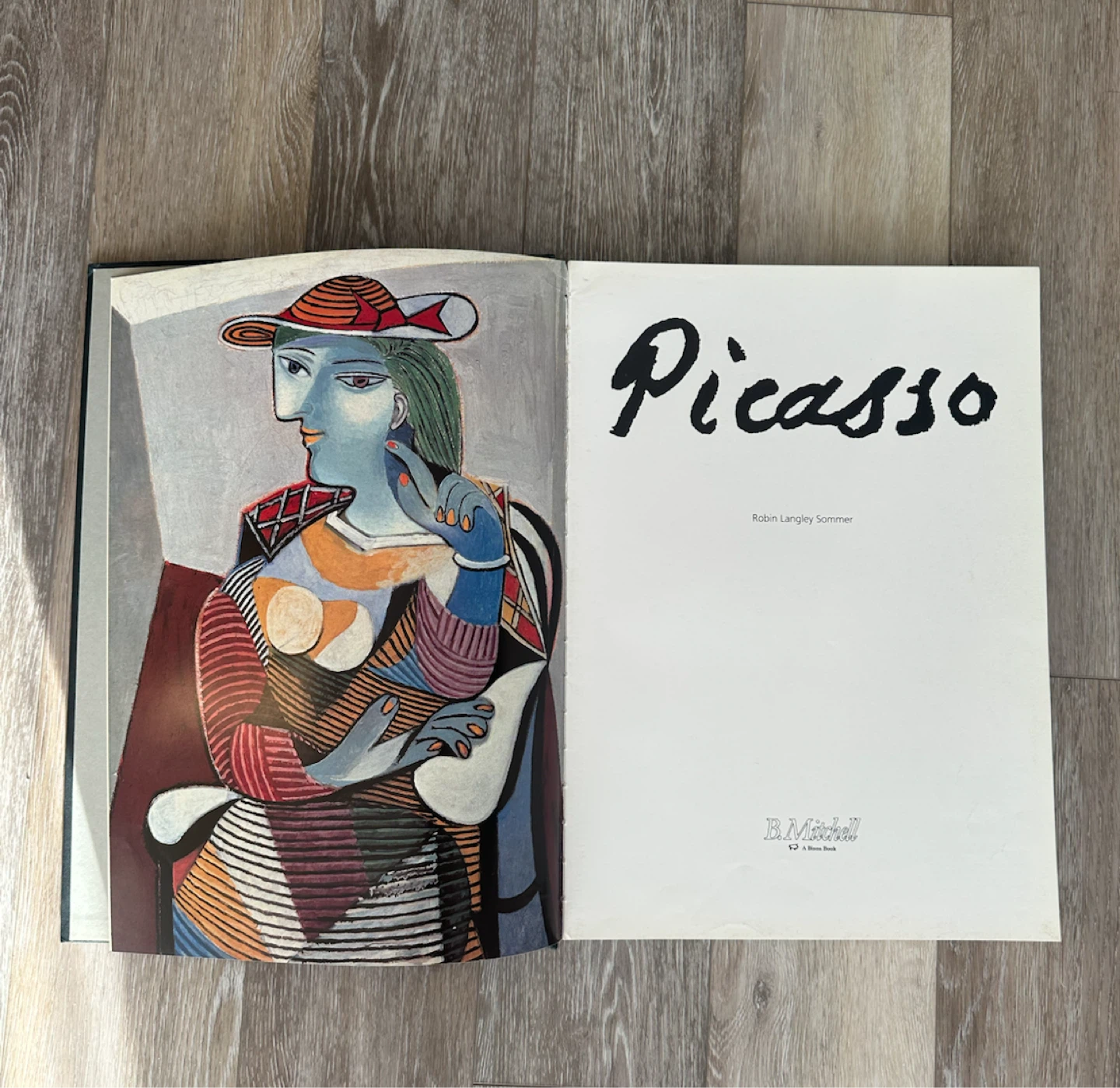 Picasso book by Robin Langley Sommer