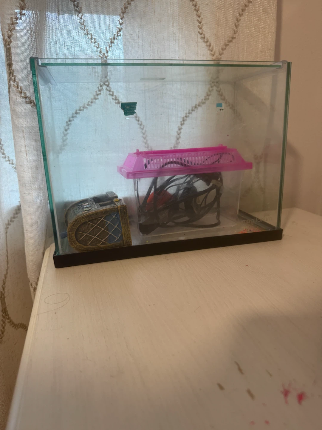 Fish  tank