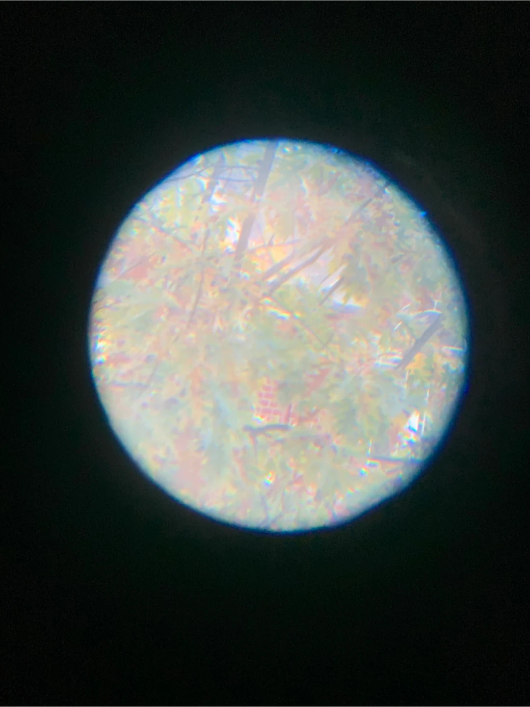 Brookstone 7x50 Binoculars - photo 5