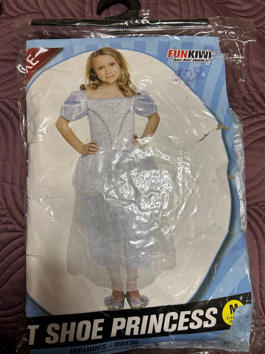 Cinderella costume