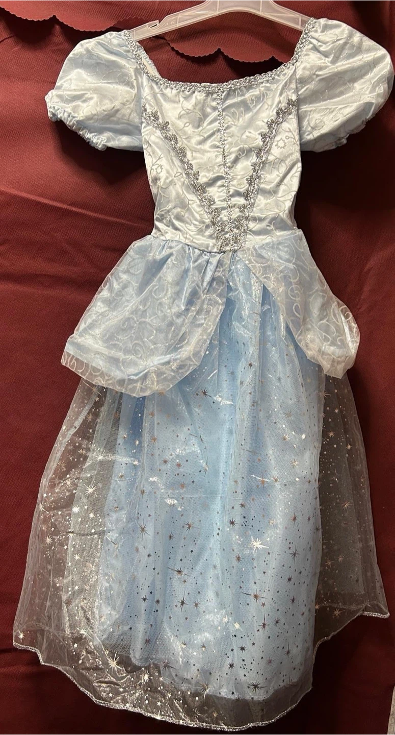 Cinderella costume - photo 2