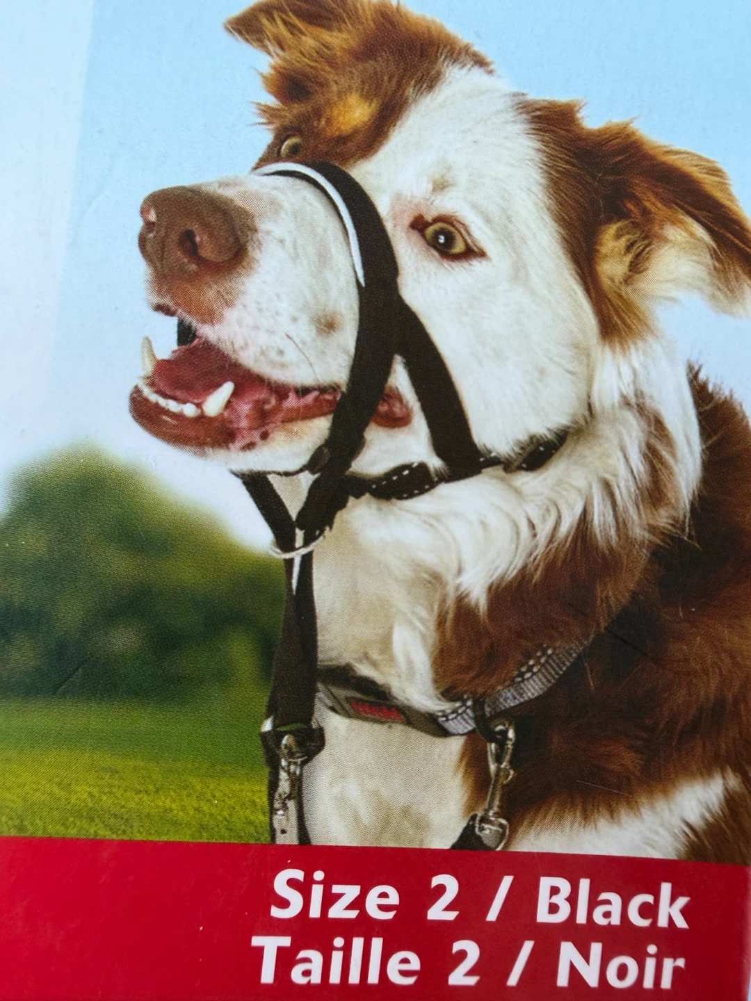 Company of Animals Halti Headcollar - Size 2 - Black - photo 3