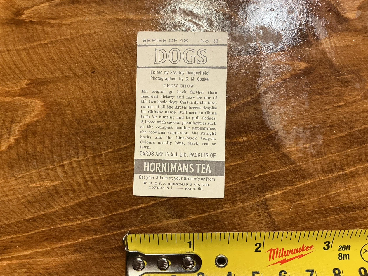 1961 HORNIMANS Tea Trading DOGS CHOW-CHOW Card 31 - photo 2