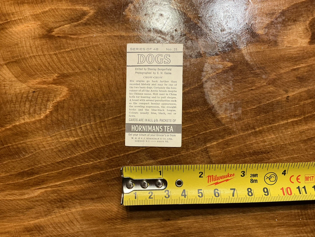 1961 HORNIMANS Tea Trading DOGS CHOW-CHOW Card 31 - photo 4