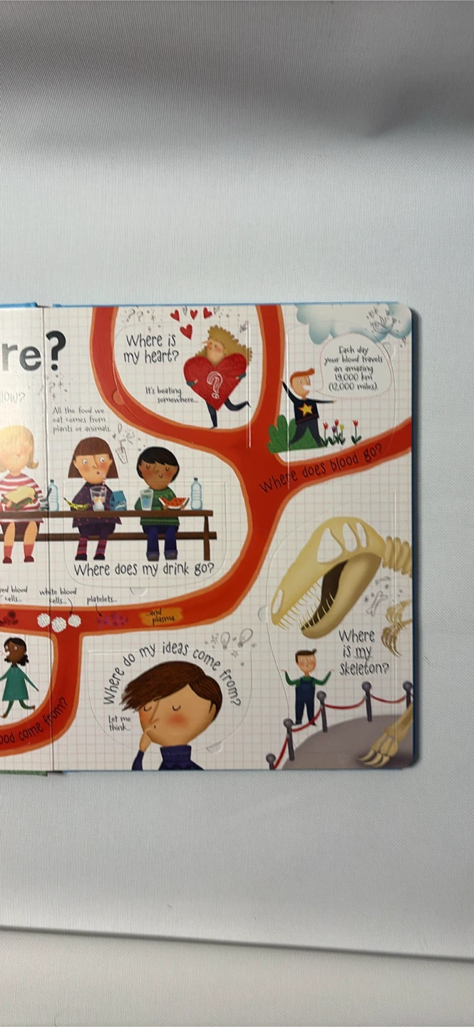 Usborne Lift-the-Flap Questions and Answers about your Body - photo 3