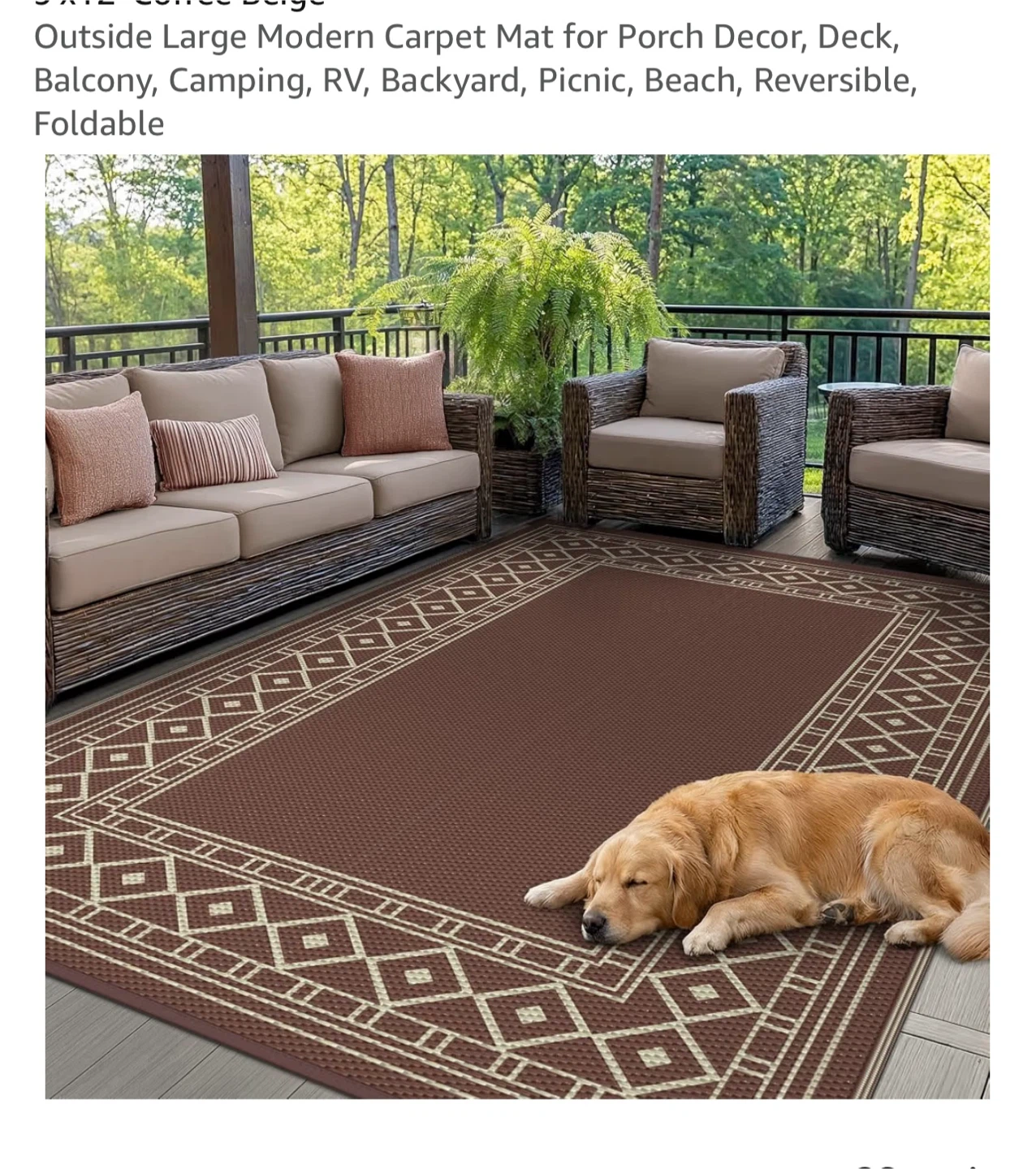 Reversible Outdoor Carpet Mat - photo 3