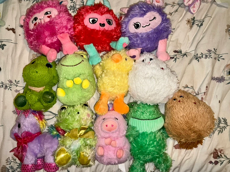 12 Assorted Plush Toys