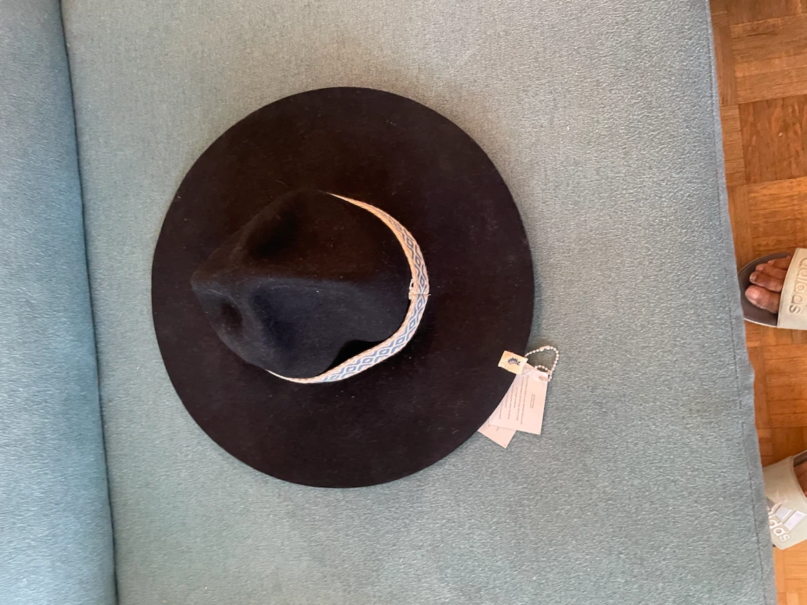 Lack of Color Black Fedora