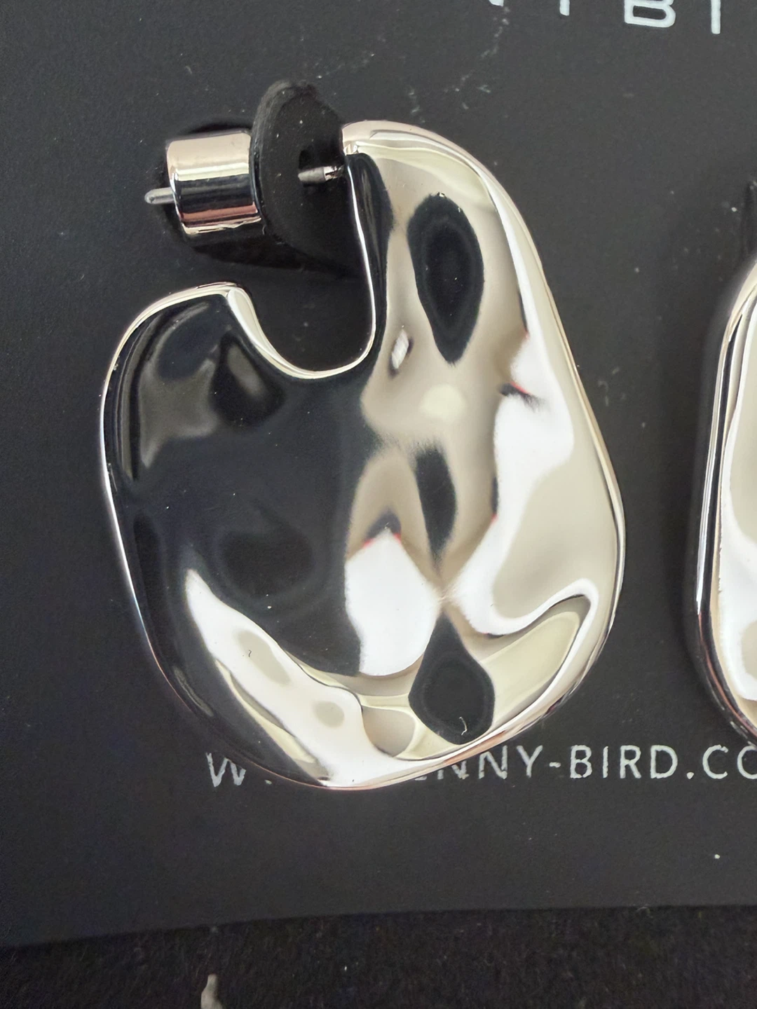 Jenny Bird Silver Hoop Earrings - photo 3