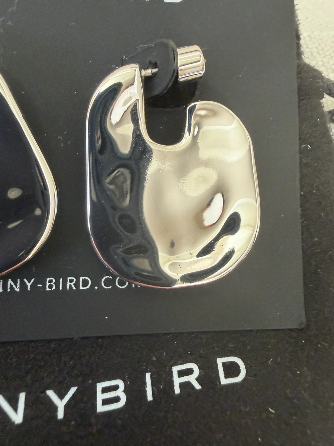 Jenny Bird Silver Hoop Earrings - photo 4