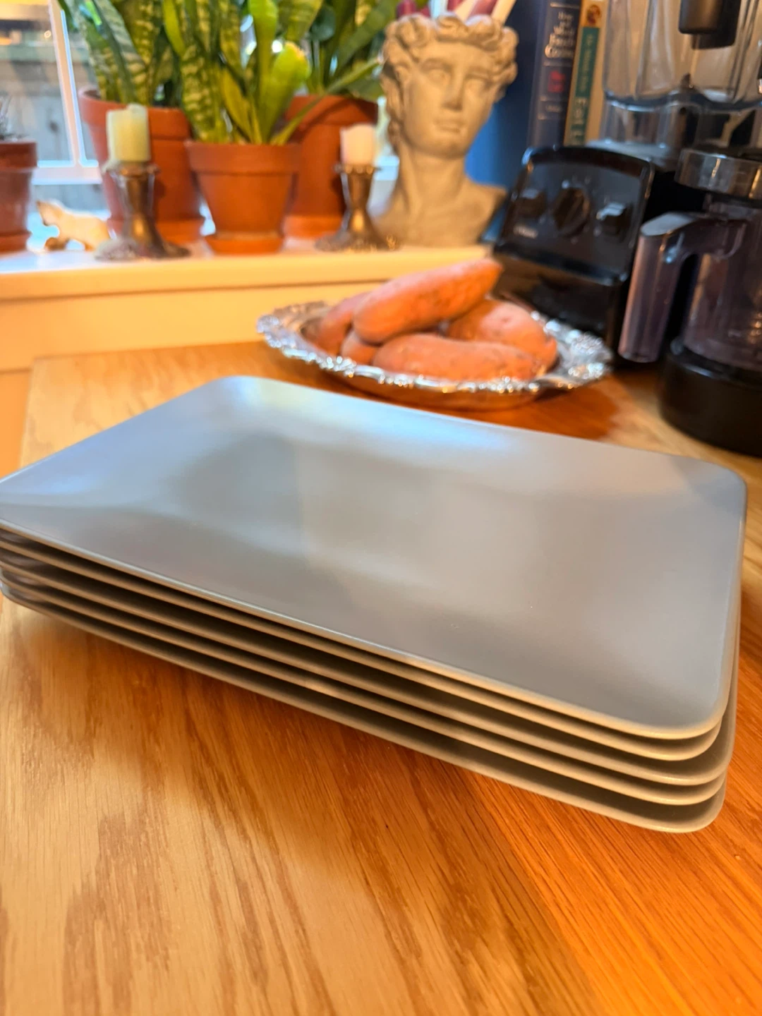 Set of 5 ikea Rectangular Plates