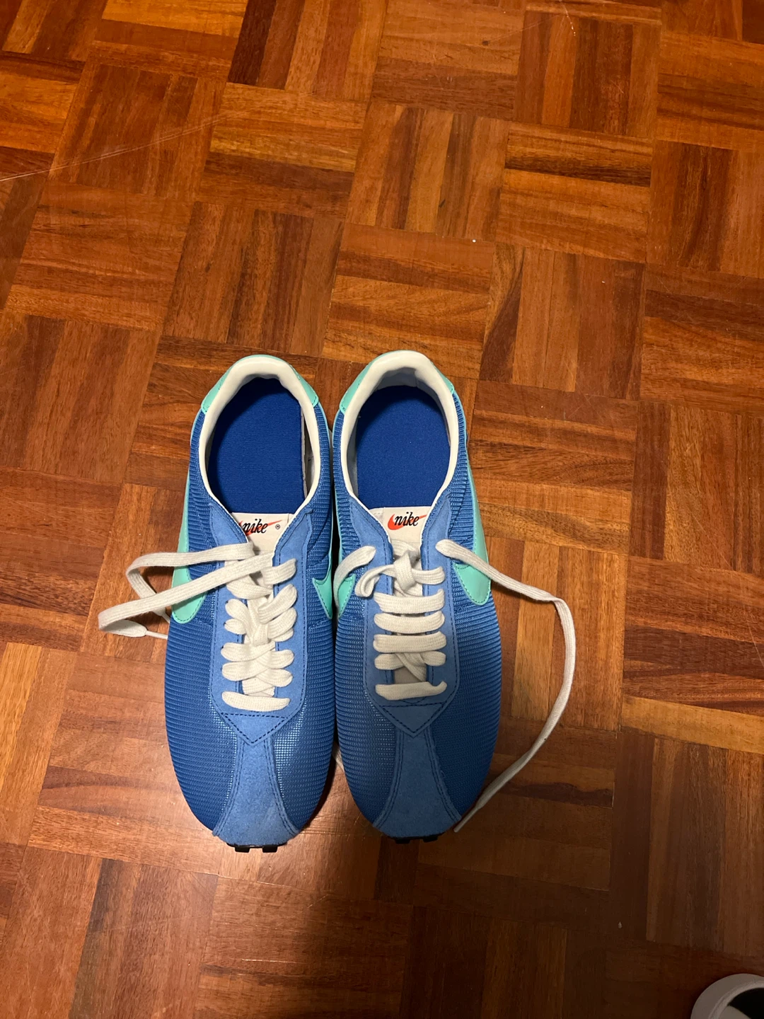 Nike Sneakers Blue and Teal