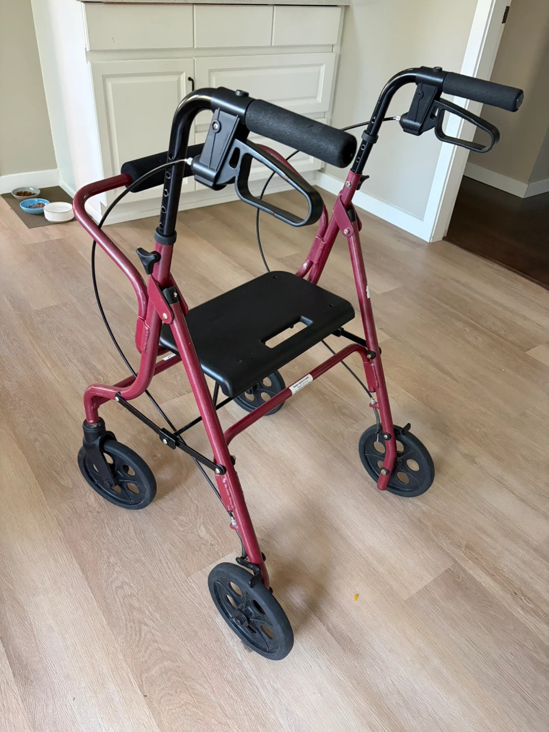 Evolution Walker Mobility Aid