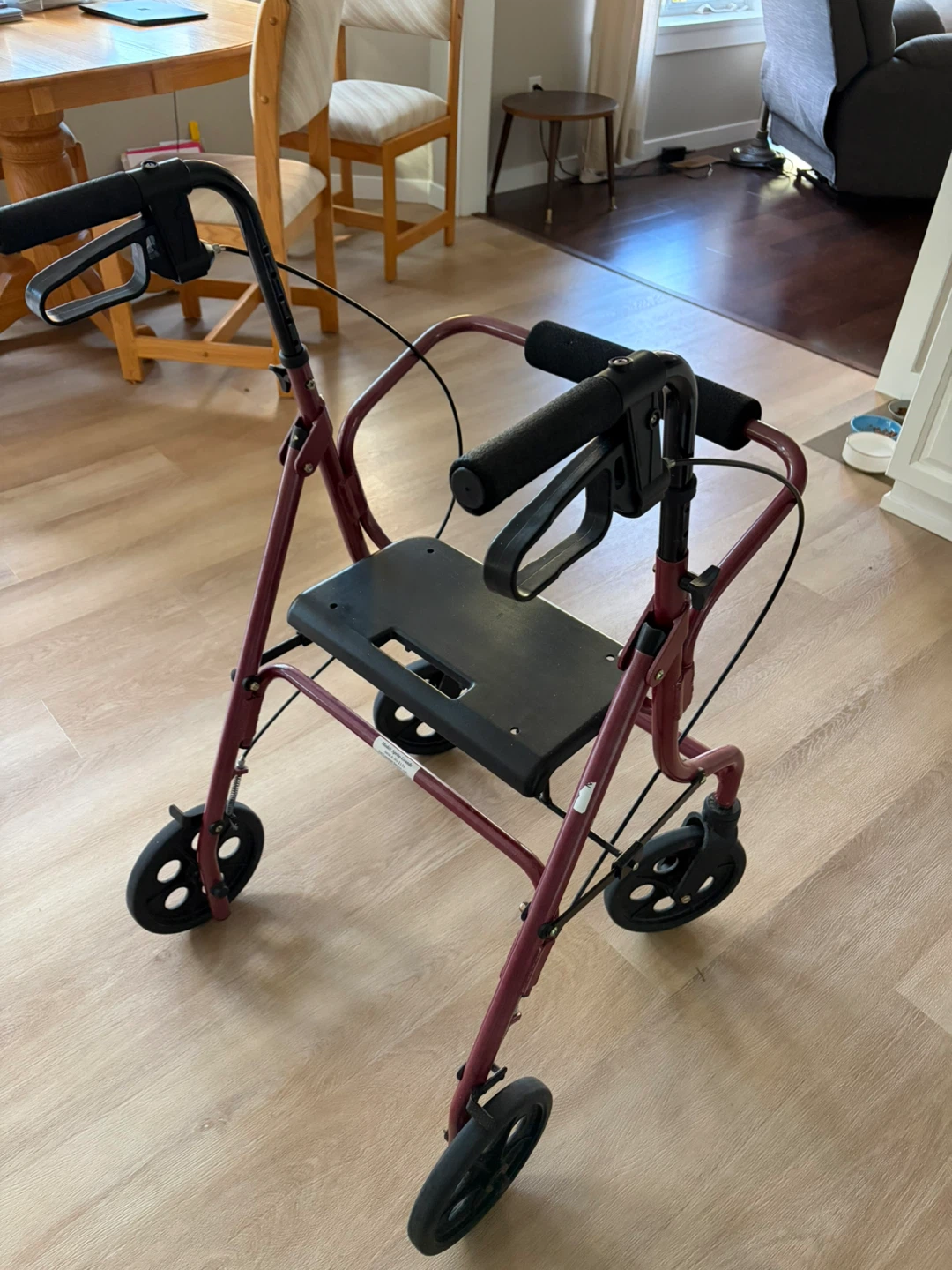 Evolution Walker Mobility Aid - photo 4