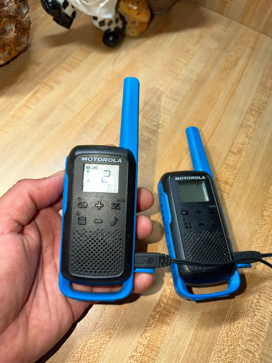Motorola Two-Way Radios - photo 5