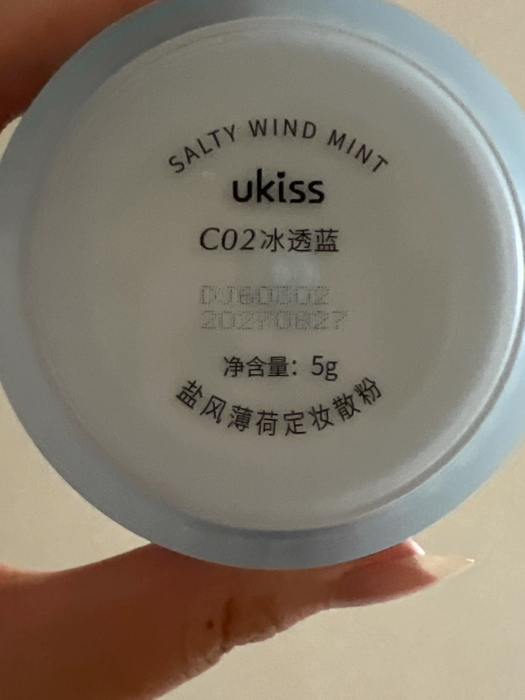 Haus Labs PhD Lip Oil, Ukiss Salty Mint Powder - photo 3
